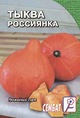Тыква Россиянка