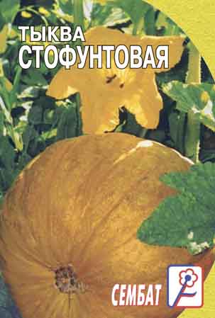 Тыква Стофунтовая