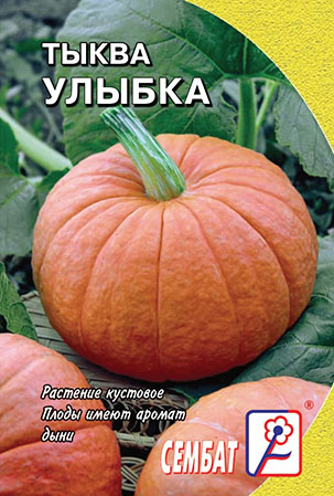 Тыква Улыбка