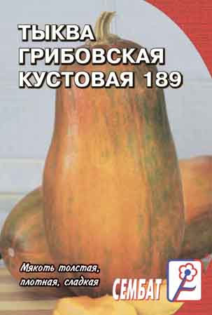 Тыква Грибовская кустовая 189